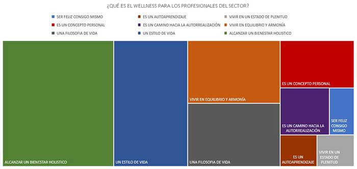 ¿Qué es Wellness para los profesionales del sector?